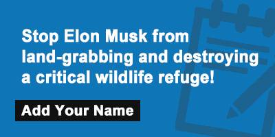 Stop Elon Musk from land-grabbing and destroying a critical wildlife refuge!