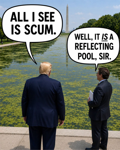 Sunday Funny
